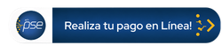 Realiza tu pago en Línea